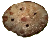 Pizza biquette
